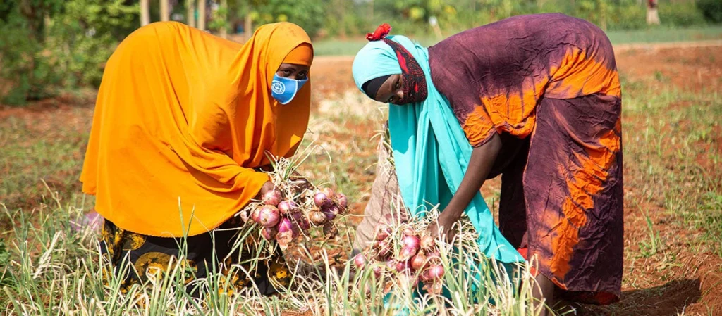 Climate Resilience and Sustainable Livelihoods